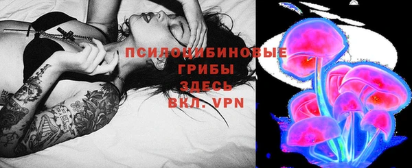 МДПВ Костерёво