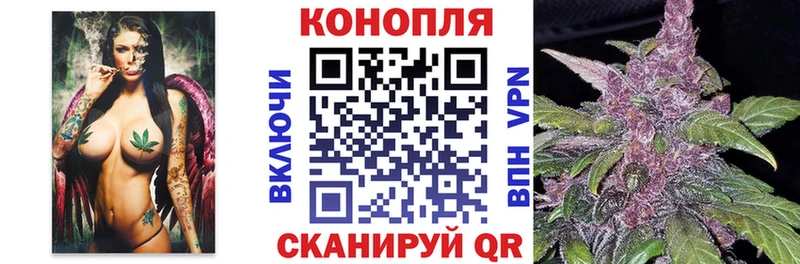 где продают наркотики  Чудово  Бошки марихуана Amnesia 